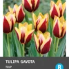Intratuin Bloembollen Tulp (Tulipa 'Gavota') 10 Stuks 2 Intratuin Bloembollen Tulp (Tulipa 'Gavota') 10 Stuks -Tuinplanten Winkel 8717263341550 2 1
