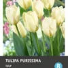 Intratuin Bloembollen Tulp (Tulipa 'Purissima') 10 Stuks 2 Intratuin Bloembollen Tulp (Tulipa 'Purissima') 10 Stuks -Tuinplanten Winkel 8717263341598 1