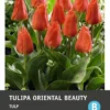 Intratuin Bloembollen Tulp (Tulipa 'Oriental Beauty') 10 Stuks 1 Intratuin Bloembollen Tulp (Tulipa 'Oriental Beauty') 10 Stuks -Tuinplanten Winkel 8717263341604