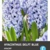 Intratuin Bloembollen Hyacint (Hyacinthus 'Delft Blue') 5 Stuks -Tuinplanten Winkel 8717263341673 1 1 1