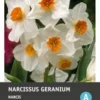 Intratuin Bloembollen Narcis (Narcissus 'Geranium') 5 Stuks -Tuinplanten Winkel 8717263341789 1 1