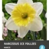 Intratuin Bloembollen Narcis (Narcissus 'Ice Follies') 5 Stuks 2 Intratuin Bloembollen Narcis (Narcissus 'Ice Follies') 5 Stuks -Tuinplanten Winkel 8717263341840 1 1