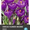 Intratuin Bloembollen Krokus (Crocus 'Flower Record') 15 Stuks 1 Intratuin Bloembollen Krokus (Crocus 'Flower Record') 15 Stuks -Tuinplanten Winkel 8717263341918 1 1