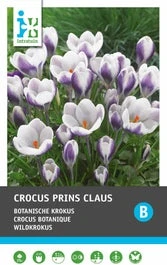Intratuin Bloembollen Krokus (Crocus 'Prins Claus') 25 Stuks 3 Intratuin Bloembollen Krokus (Crocus 'Prins Claus') 25 Stuks