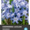 Intratuin Bloembollen Sneeuwroem (Chionodoxa Lucilea) 25 Stuks 1 Intratuin Bloembollen Sneeuwroem (Chionodoxa Lucilea) 25 Stuks -Tuinplanten Winkel 8717263342137 1 1