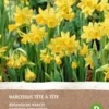 Intratuin Biologische Bloembollen Narcis (Narcissus 'Tète á Â Tète') 5 Stuks 1 Intratuin Biologische Bloembollen Narcis (Narcissus 'Tète á Â Tète') 5 Stuks -Tuinplanten Winkel 8717263342496 1 1