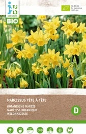 Intratuin Biologische Bloembollen Narcis (Narcissus 'Tète á Â Tète') 5 Stuks 3 Intratuin Biologische Bloembollen Narcis (Narcissus 'Tète á Â Tète') 5 Stuks