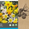Intratuin Bloembollen Botanische Narcis (Narcissus) Wit, Geel 35 Stuks 1 Intratuin Bloembollen Botanische Narcis (Narcissus) Wit, Geel 35 Stuks -Tuinplanten Winkel 8717263342731 2