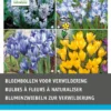 Intratuin Bloembollen (voor Verwildering) Gemengd 60 Stuks -Tuinplanten Winkel 8717263342847 1 1