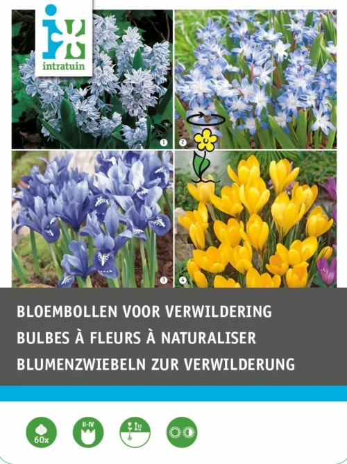 Intratuin Bloembollen (voor Verwildering) Gemengd 60 Stuks