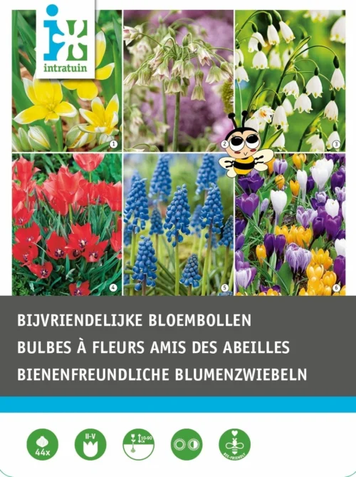 Intratuin Bloembollen (bijenvriendelijk) Gemengd 44 Stuks 5 Intratuin Bloembollen (bijenvriendelijk) Gemengd 44 Stuks -Tuinplanten Winkel 8717263342915 1 1