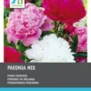 Intratuin Pioenroos Knol (Paeonia) 3 Stuks -Tuinplanten Winkel 8717263345039 1 1