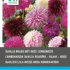 Intratuin Dahlia Knol (Dahlia) Paars Wit Violet Gemengd 5 Stuks -Tuinplanten Winkel 8717263345077