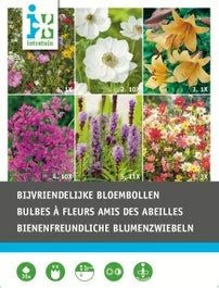 Intratuin Bloembollen Bijen Vriendelijk 36 Stuks