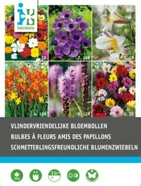 Intratuin Bloembollen Vlinder Vriendelijk 36 Stuks