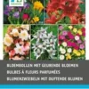 Intratuin Bloembollen Geurend 58 Stuks -Tuinplanten Winkel 8717263345138 1