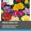 Intratuin Bloembollen Freesia Dubbel Mix 50 Stuks -Tuinplanten Winkel 8717263345213 1