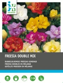 Intratuin Bloembollen Freesia Dubbel Mix 50 Stuks 3 Intratuin Bloembollen Freesia Dubbel Mix 50 Stuks