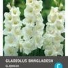 Intratuin Bloembollen Gladiool (Gladiolus 'Bangladesh') 10 Stuks -Tuinplanten Winkel 8717263345336 1 1