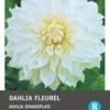 Intratuin Dahlia Knol (Dahlia 'Fleurel') 2 Intratuin Dahlia Knol (Dahlia 'Fleurel') -Tuinplanten Winkel 8717263345701 1