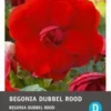 Intratuin Begonia Knol (Begonia Grandiflora) Rood 3 Stuks