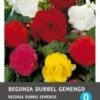 Intratuin Begonia Knol (Begonia Grandiflora) Gemengd 3 Stuks -Tuinplanten Winkel 8717263345787 1