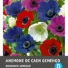 Intratuin Bloemknol Anemoon (Anemone 'De Caen') Gemengd 25 Stuks 1 Intratuin Bloemknol Anemoon (Anemone 'De Caen') Gemengd 25 Stuks -Tuinplanten Winkel 8717263345893 0 1