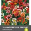 Zigeunerbloem (Sparaxis Mixed) 40 Stuks 2 Zigeunerbloem (Sparaxis Mixed) 40 Stuks -Tuinplanten Winkel 8717263345978 1