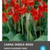 Intratuin Indisch Bloemriet Knol (Canna Indica 'Greenleaves') Rood 2 Stuks -Tuinplanten Winkel 8717263346081 1 1