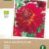 Intratuin Biologische Dahlia Knol (Dahlia 'Manhattan Island') 1 Intratuin Biologische Dahlia Knol (Dahlia 'Manhattan Island') -Tuinplanten Winkel 8717263346500 1 1