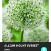 Intratuin Bloembollen Sierui (Allium 'Mount Everest') 2 Intratuin Bloembollen Sierui (Allium 'Mount Everest') -Tuinplanten Winkel 8717263346975