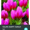 Intratuin Bloembollen Tulp (Tulipa 'Happy Family') 10 Stuks -Tuinplanten Winkel 8717263347019