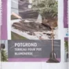 Intratuin Potgrond RHP 70 L 1 Intratuin Potgrond RHP 70 L -Tuinplanten Winkel 8717263355380 1