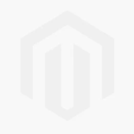 Peperomia (Peperomia Obtusifolia 'Obtipan Bicolor') D 12 H 20 Cm 3 Peperomia (Peperomia Obtusifolia 'Obtipan Bicolor') D 12 H 20 Cm