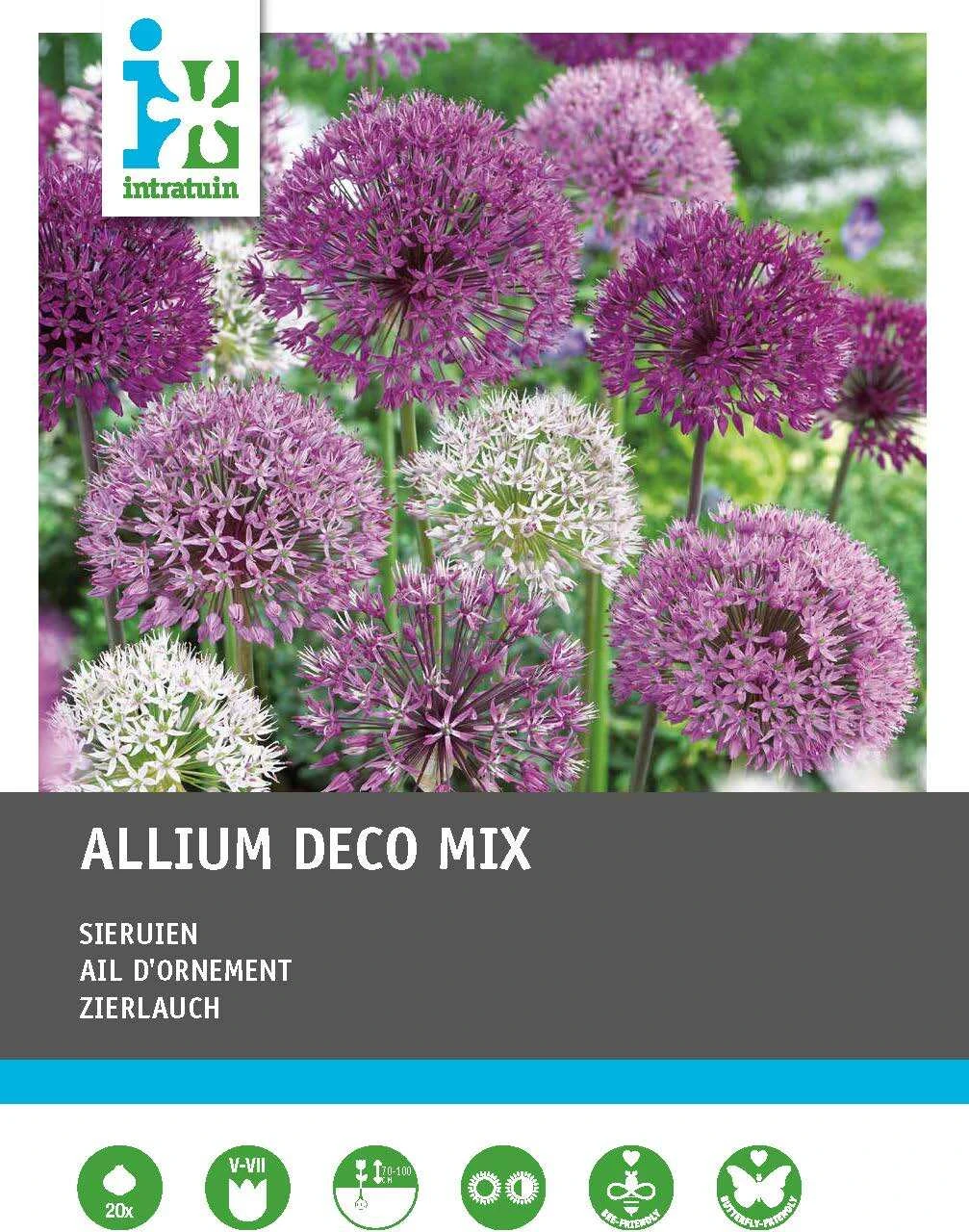 Intratuin Bloembollen Sierui (Alium) Gemengd 20 Stuks 3 Intratuin Bloembollen Sierui (Alium) Gemengd 20 Stuks