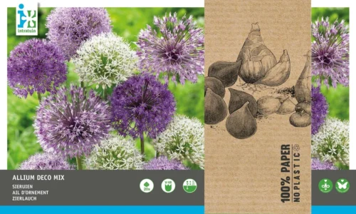 Intratuin Bloembollen Sierui (Alium) Gemengd 20 Stuks 7 Intratuin Bloembollen Sierui (Alium) Gemengd 20 Stuks -Tuinplanten Winkel 8717263786955 2