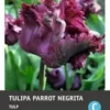 Intratuin Bloembollen Tulp (Tulipa 'Negritta Parrot') 7 Stuks 2 Intratuin Bloembollen Tulp (Tulipa 'Negritta Parrot') 7 Stuks -Tuinplanten Winkel 8717263787235