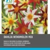 Intratuin Dahlia Knol (Dahlia 'Windmolen' Mix) 5 Stuks -Tuinplanten Winkel 8717263787686 0
