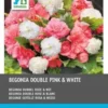 Intratuin Begonia Dubbelbloeiende Knol (Begonia) Roze Wit 6 Stuks 2 Intratuin Begonia Dubbelbloeiende Knol (Begonia) Roze Wit 6 Stuks -Tuinplanten Winkel 8717263787921