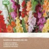Intratuin Biologische Bloembollen Gladiool (Gladiolus Grandiflora) Gemengd 25 Stuks -Tuinplanten Winkel 8717263787945