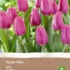 Intratuin Biologische Bloembollen Tulp (Tulipa) Roze 6 Stuks