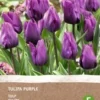 Intratuin Biologische Bloembollen Tulp (Tulipa) Donkerpaars 6 Stuks 1 Intratuin Biologische Bloembollen Tulp (Tulipa) Donkerpaars 6 Stuks -Tuinplanten Winkel 8717263788003