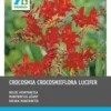 Intratuin Bloembollen Montebretia (Crocosmia 'Lucifer') Rood 25 Stuks -Tuinplanten Winkel 8717263788157