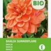 Intratuin Biologische Dahlia Knol (Dahlia 'Summerflame') -Tuinplanten Winkel 8717263788232