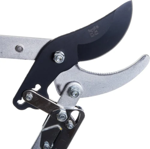 Intratuin Premium Takkenschaar Bamboe 7 Intratuin Premium Takkenschaar Bamboe -Tuinplanten Winkel 8717263944621 3