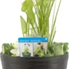 Terrasvijver Met Waterplanten Antraciet D 40 H 35 Cm 1 Terrasvijver Met Waterplanten Antraciet D 40 H 35 Cm -Tuinplanten Winkel 8718226851772 1