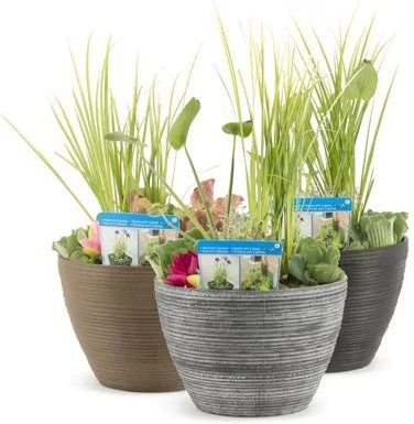 Terrasvijver Met Waterplanten Antraciet D 40 H 35 Cm 4 Terrasvijver Met Waterplanten Antraciet D 40 H 35 Cm - Afbeelding 2