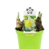 Narcis (Narcissus 'Attraction') D 12 H 14 Cm -Tuinplanten Winkel 8718924505052