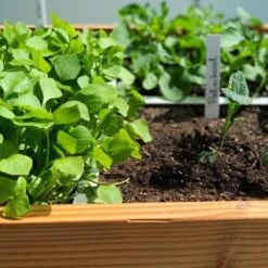 Makkelijke Moestuin Voeding Mix 20 L -Tuinplanten Winkel 8719189169836 4