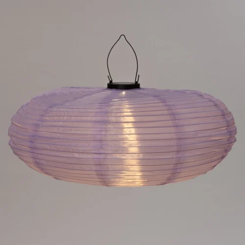 Intratuin Solar Lampion Paars D 50 H 48 Cm -Tuinplanten Winkel 8720196041053 2